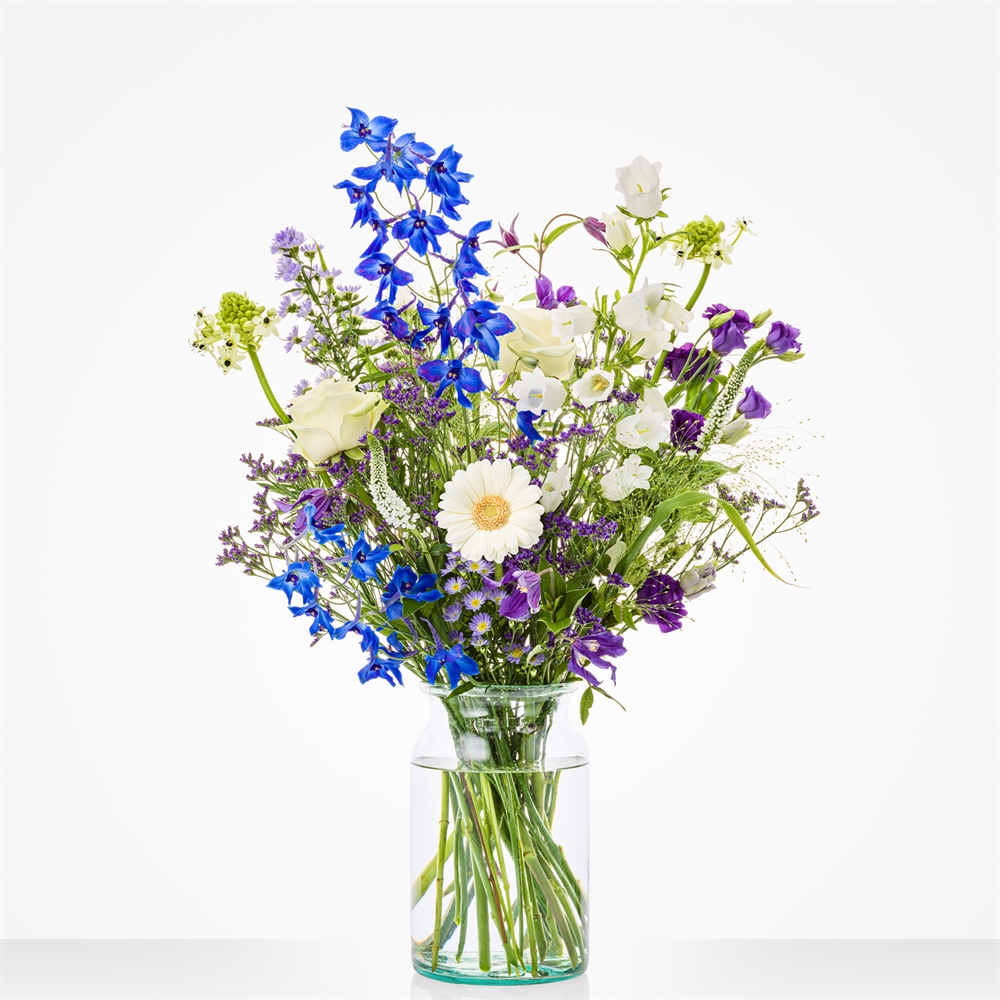 Feestelijk blauw Feestelijk blauw